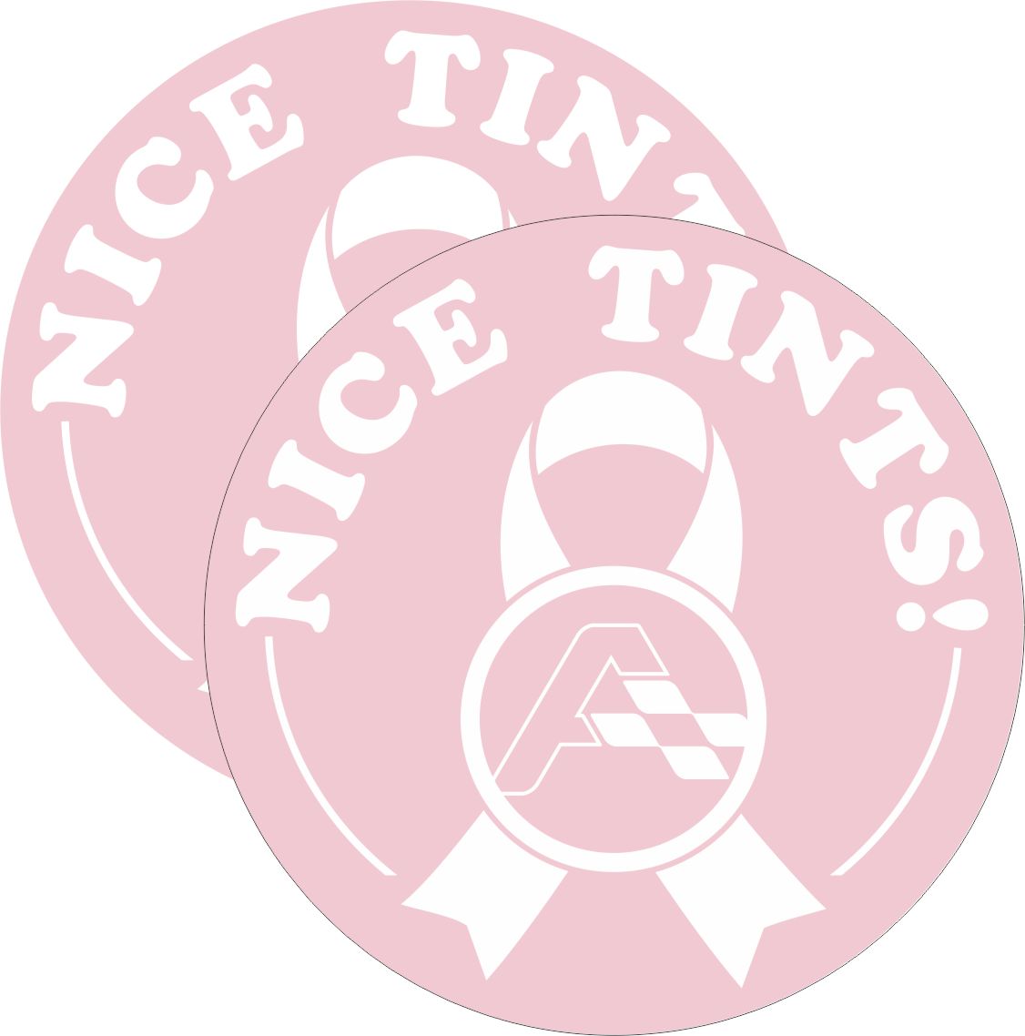 NICE TINTS! 3" Round Stickers (2 pack)