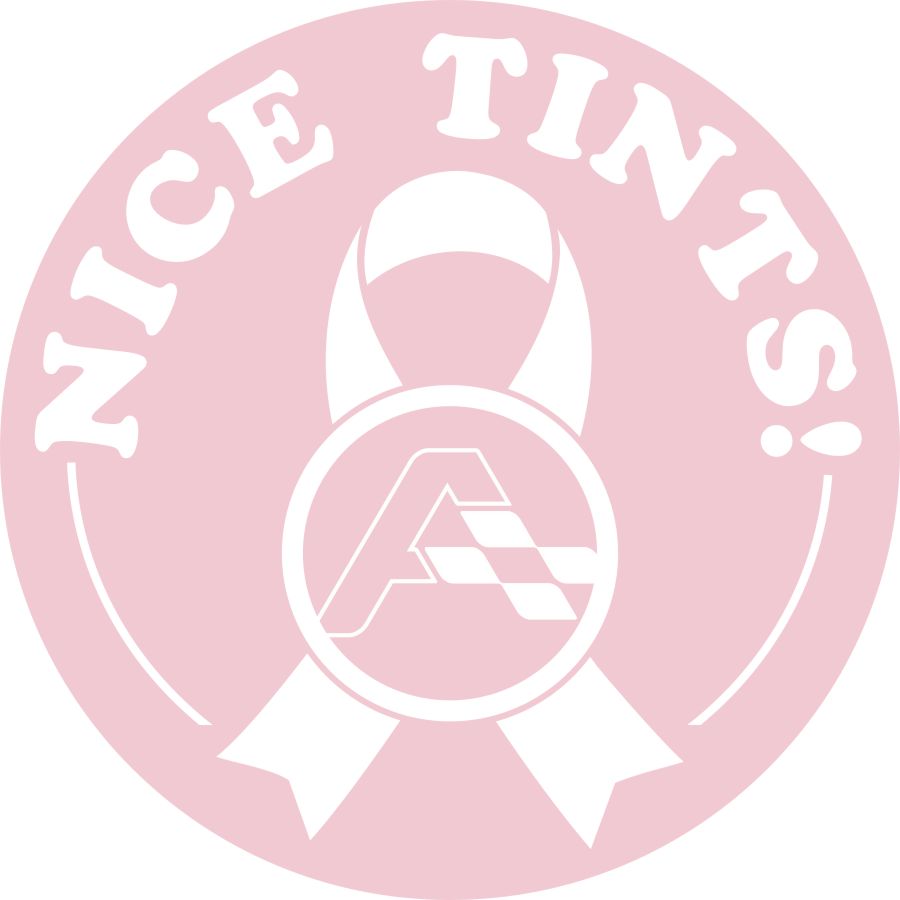 NICE TINTS! 3" Round Stickers (2 pack)