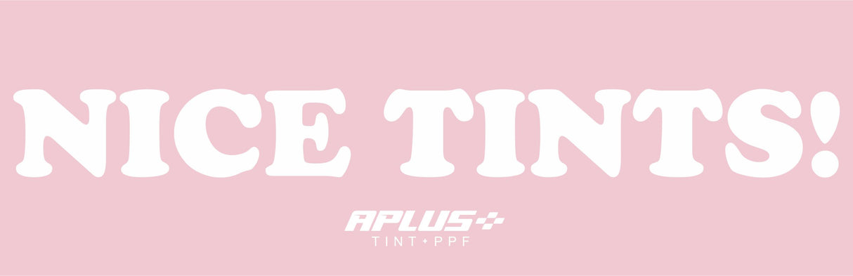 NICE TINTS! Bumper Sticker